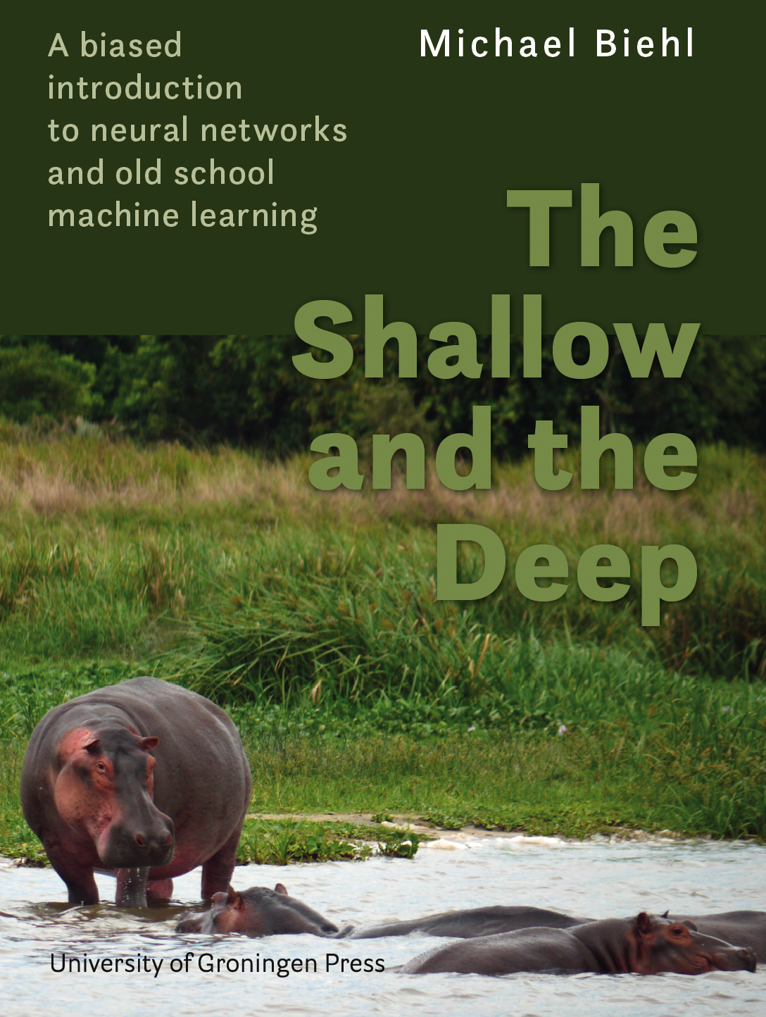 Michael Biehl, book cover, The Shallow and the Deep