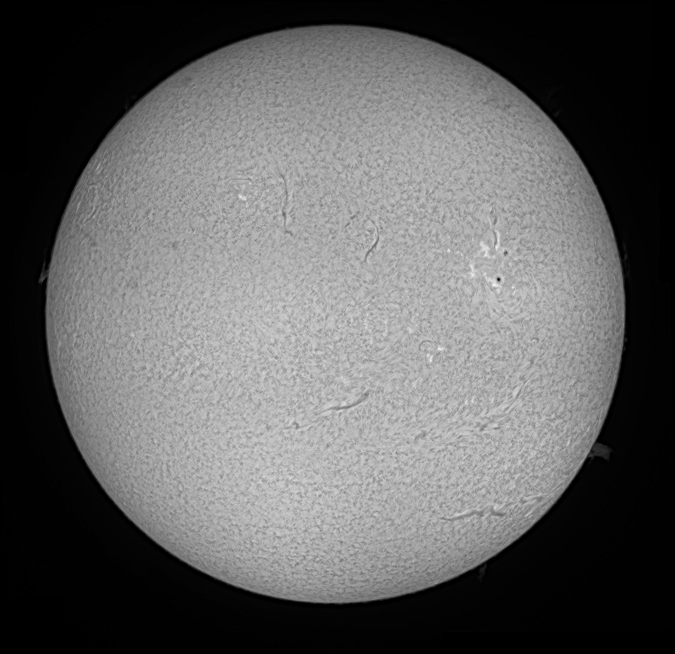 sun16022015mosaic2a.jpg