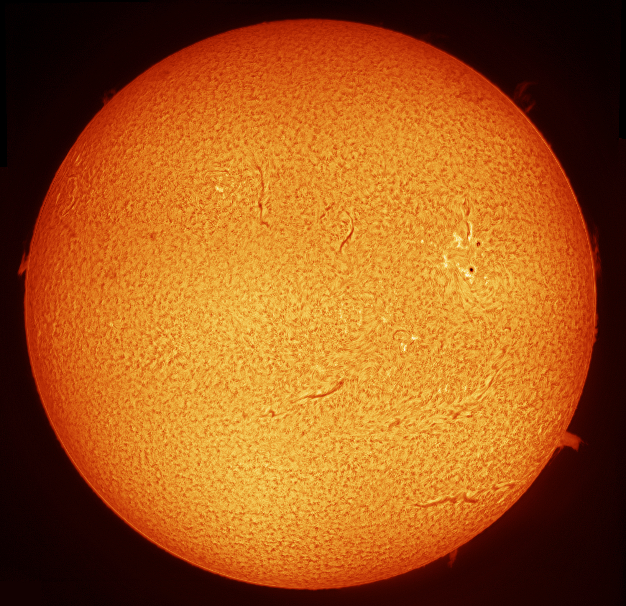 sun16022015mosaicmergecolour.jpg