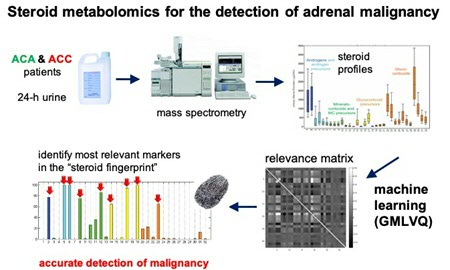 Steroid metabolomics for the detection of adrenal
malignancy